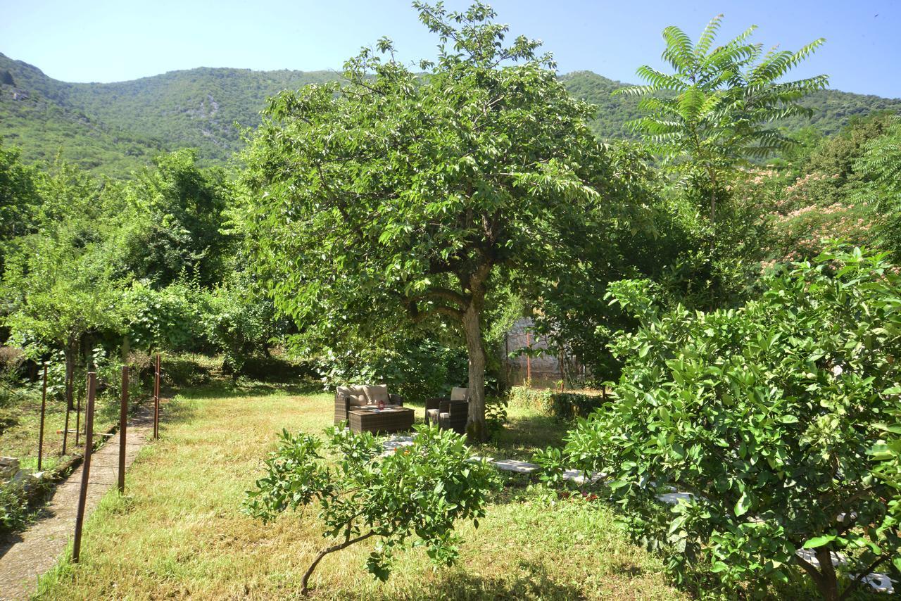 A Hundred Olive Trees Apartments Kotor Exterior photo